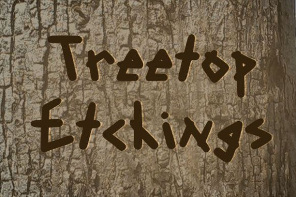 Treetop Etchings: The Perfect Display Font for Handmade Branding