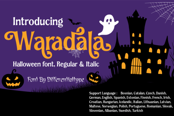 Waradala: A Designer's Honest Review for Real-World Projects